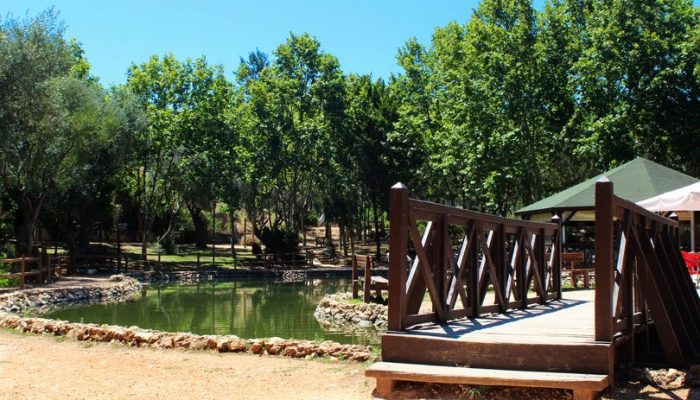 Ponte Parque da Juventude