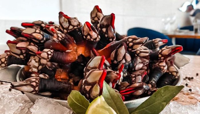 marisco no restaurante A Ribeira em Alvor