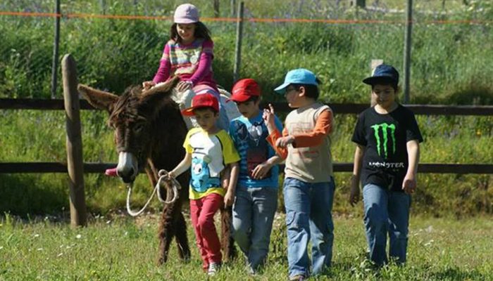 crianças na Burro Ville