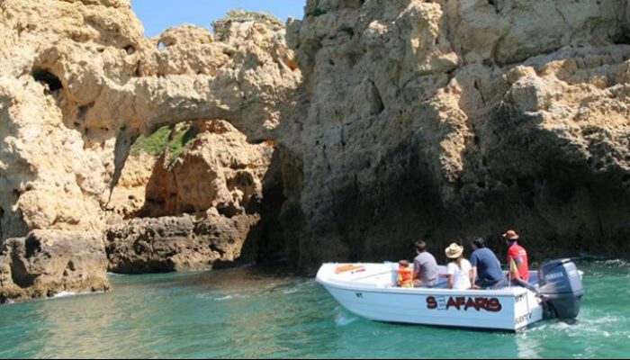 Dolphin Seafaris (13)