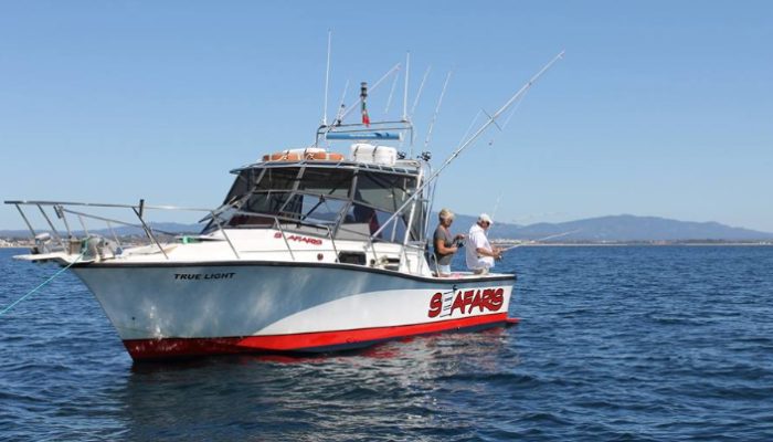 Dolphin Seafaris (2)