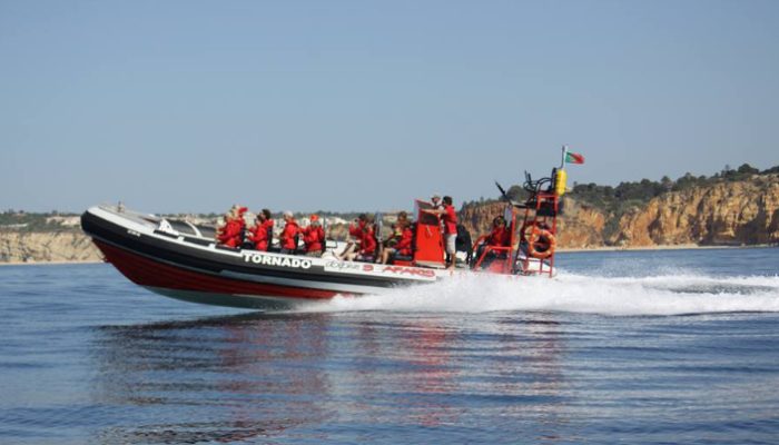 Dolphin Seafaris (5)