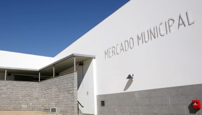 Mercado Municipal(13)