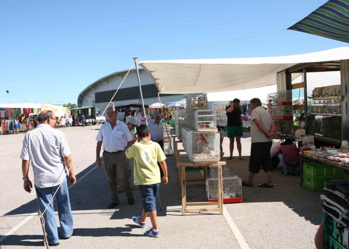 Mercado Mensal (7)