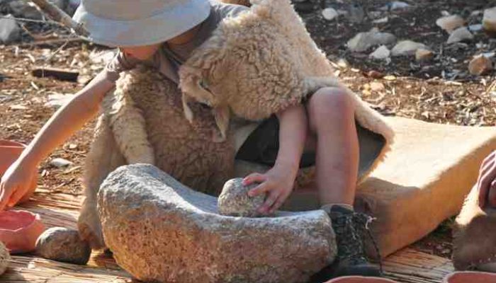 ????????????????????????????????????