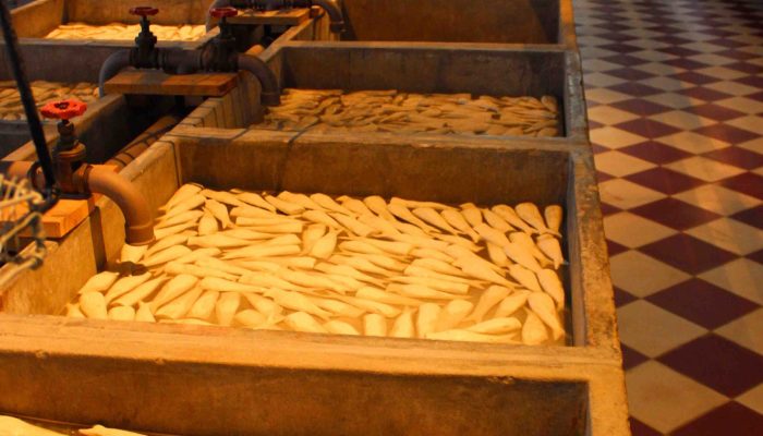 Museu de Portimão (25)