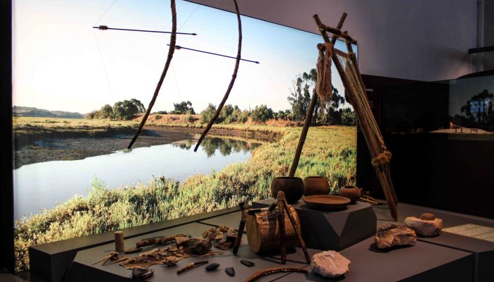 Museu de Portimão (30)