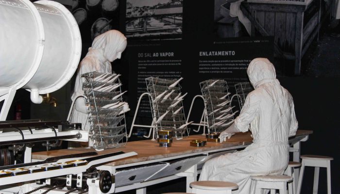 Museu de Portimão (9)