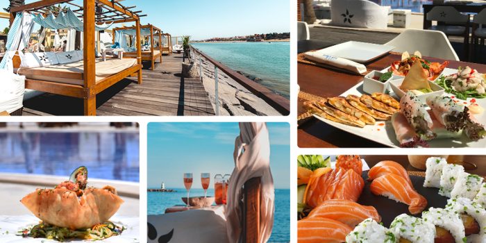 Nosolo Piscina Praia da Rocha (8)