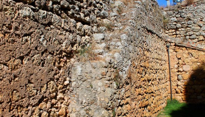 Ruinas do Castelo (1)