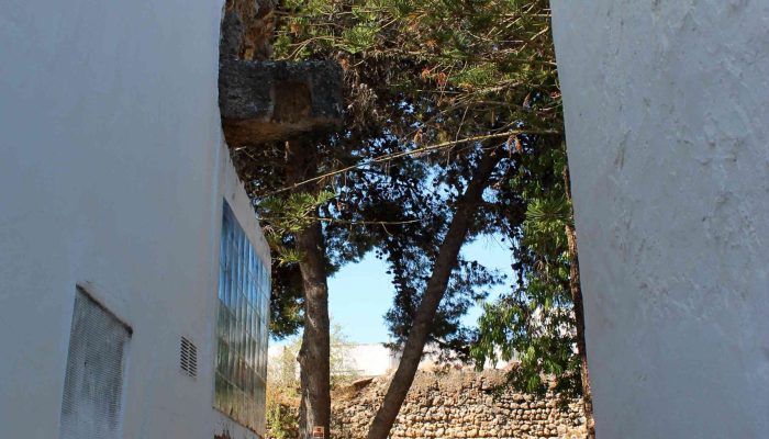 Ruinas do Castelo (3)