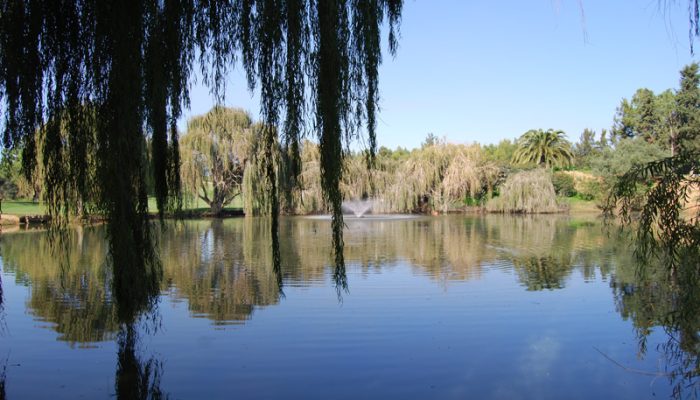 alto golfe course (5)