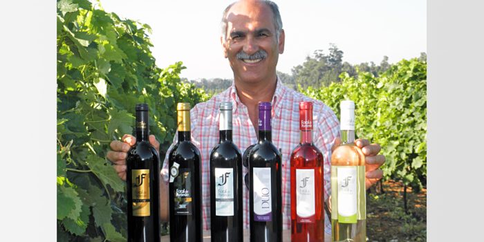 quinta da penina (4)